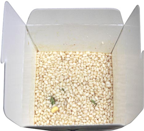 jeanbaraya-nakami jeanbaraya-nakami