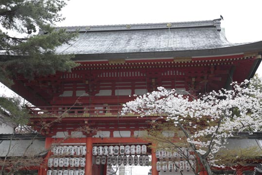 kyoto017