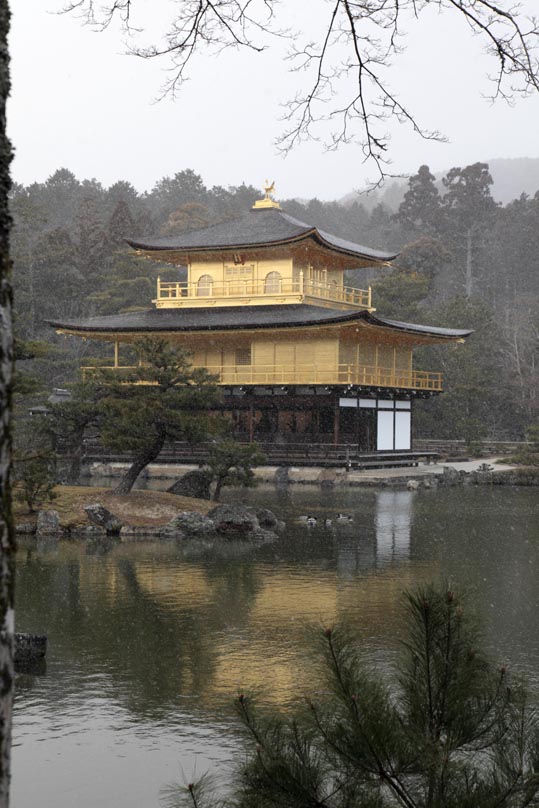 kinkakuji042