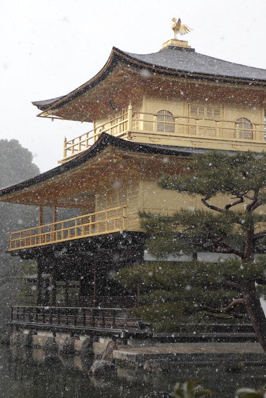 kinkakuji053
