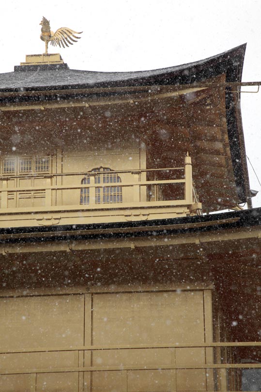 kinkakuji056