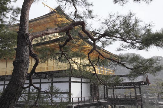 kinkakuji065