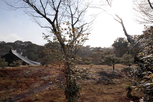 kinkakuji084