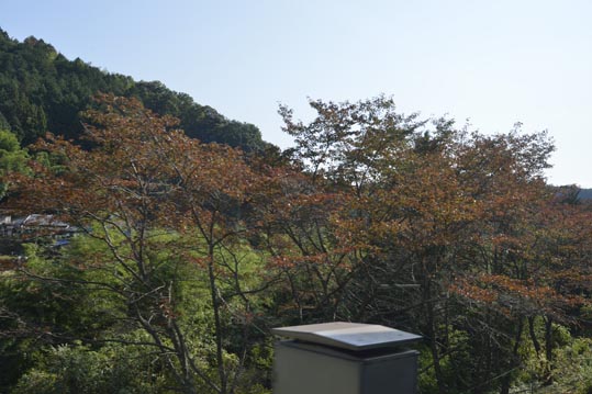 2012akinokouyasan001