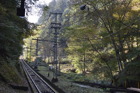 2012akinokouyasan033