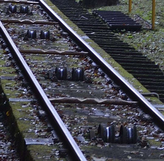 2012akinokouyasan034