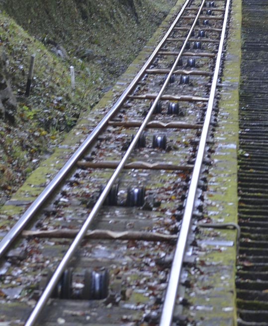 2012akinokouyasan037