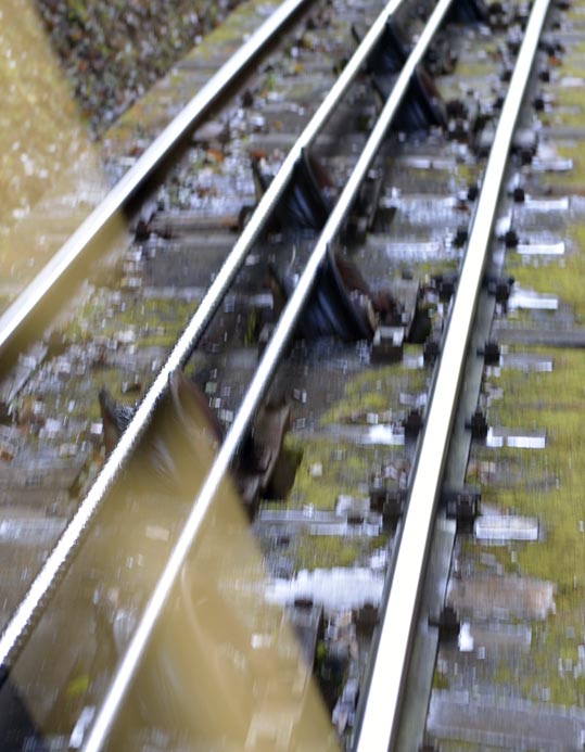 2012akinokouyasan044