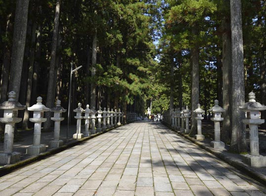 2012akinokouyasan057