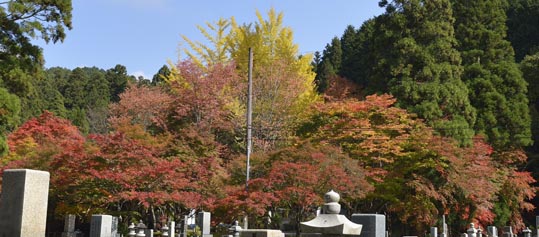 2012akinokouyasan062