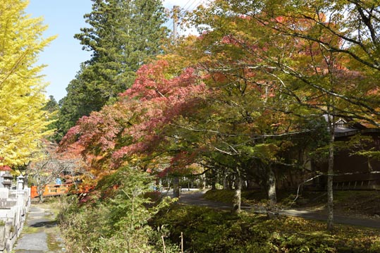 2012akinokouyasan071