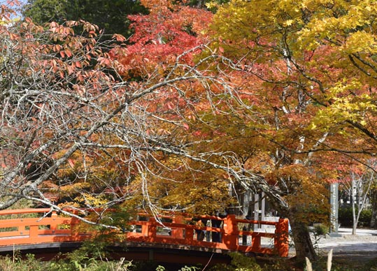 2012akinokouyasan074