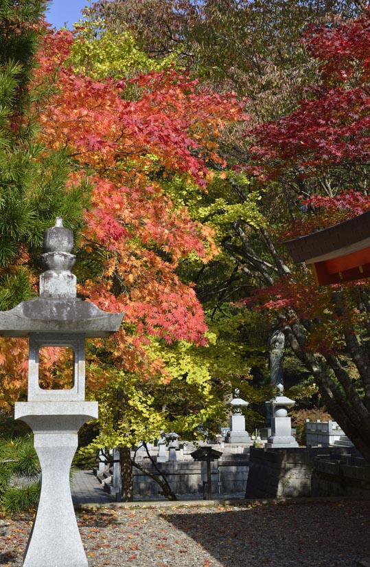 2012akinokouyasan089