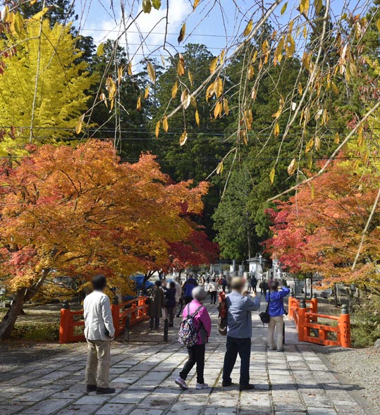 2012akinokouyasan092