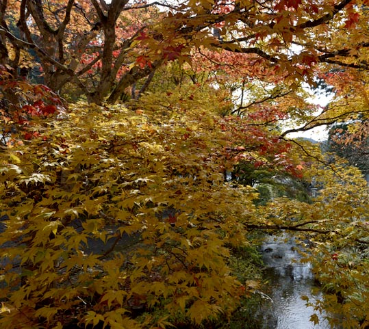 2012akinokouyasan093