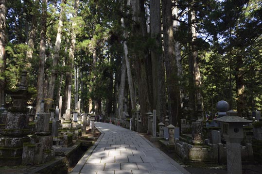 2012akinokouyasan101