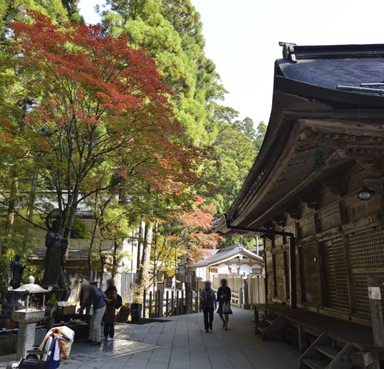 2012akinokouyasan109