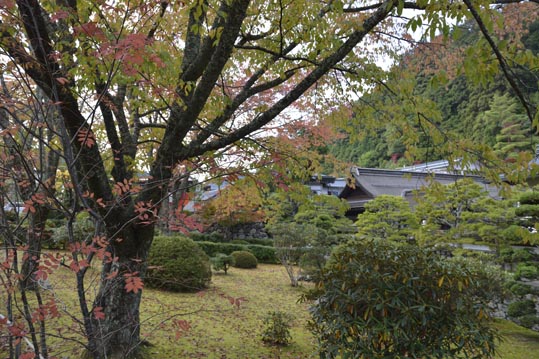 2012akinokouyasan145