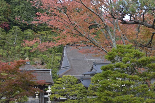 2012akinokouyasan149