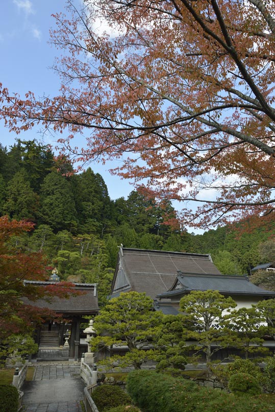 2012akinokouyasan150