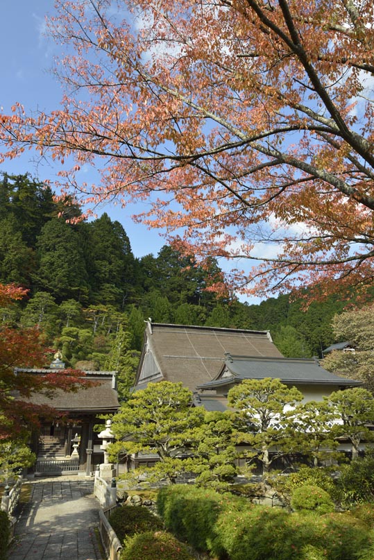 2012akinokouyasan151