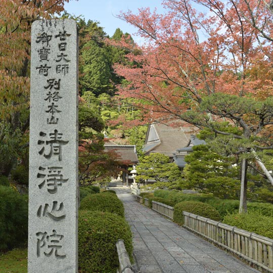 2012akinokouyasan152