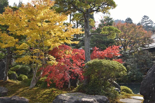 2012akinokouyasan158