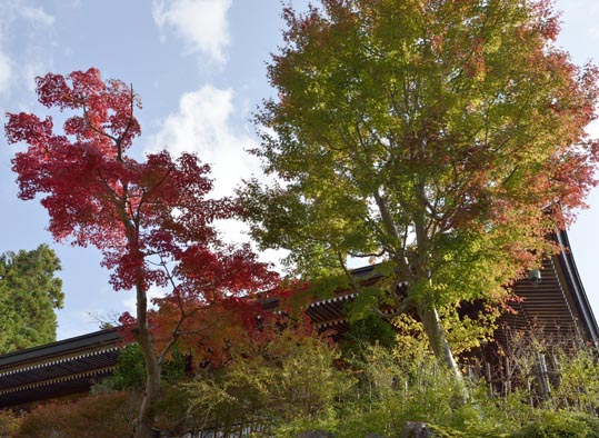 2012akinokouyasan159