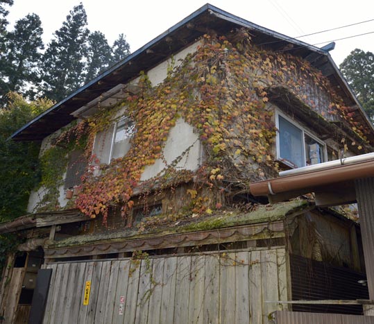 2012akinokouyasan161