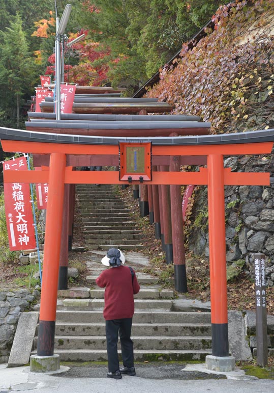 2012akinokouyasan170