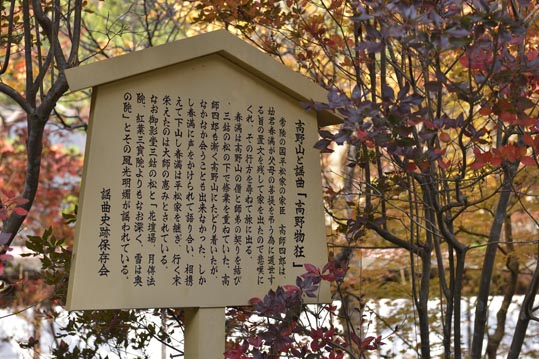 2012akinokouyasan189