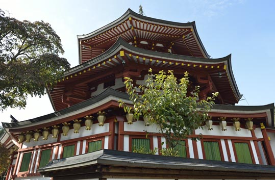 2012akinokouyasan193