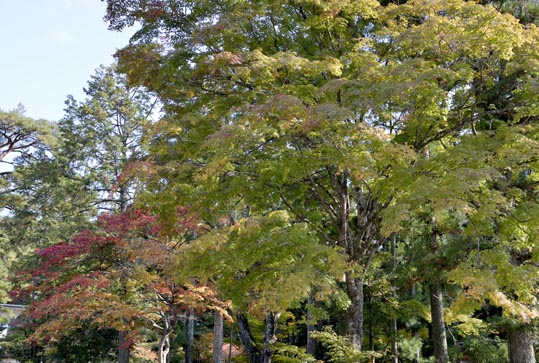 2012akinokouyasan238