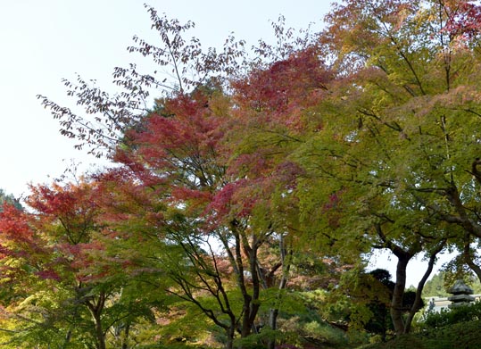 2012akinokouyasan250