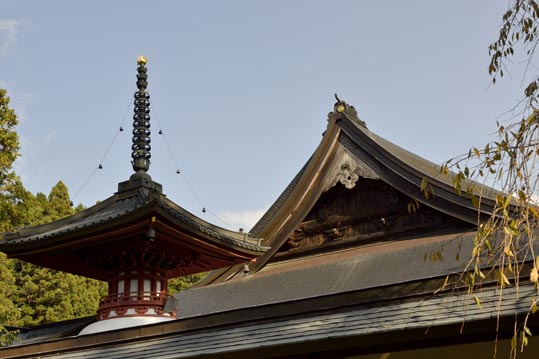 2012akinokouyasan251