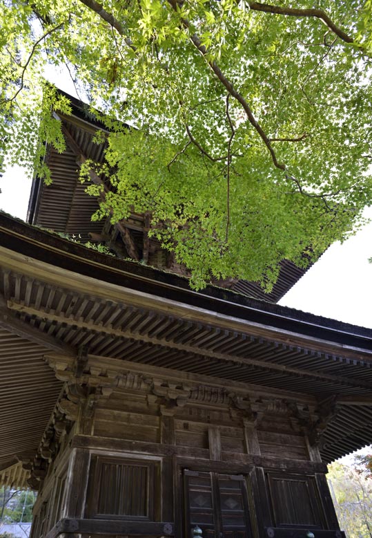 2012akinokouyasan258