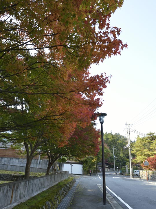 2012akinokouyasan260