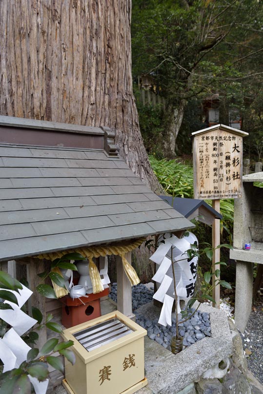 2012kuramaderakifune065