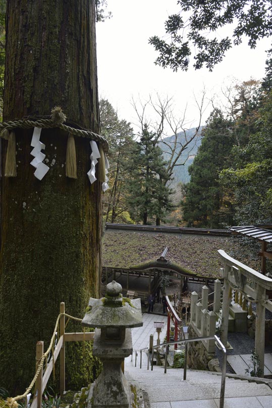 2012kuramaderakifune067