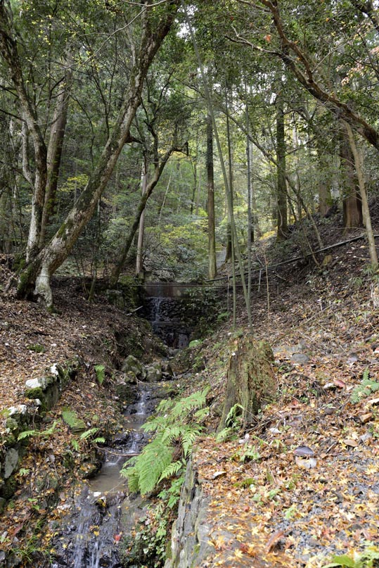 2012kuramaderakifune074