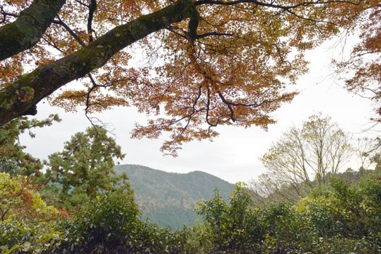 2012kuramaderakifune094