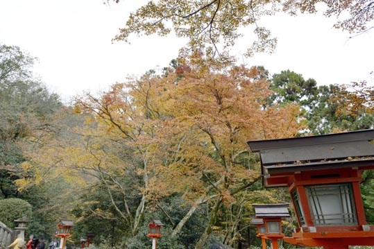 2012kuramaderakifune096