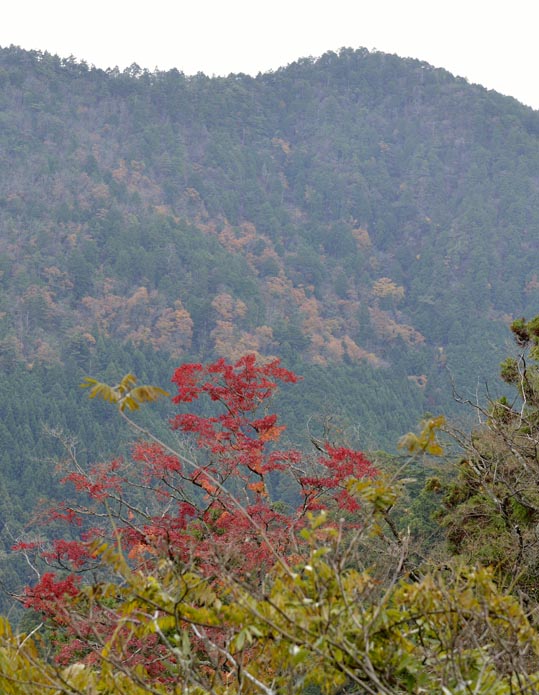 2012kuramaderakifune111