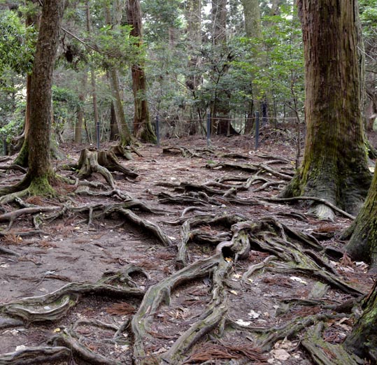 2012kuramaderakifune136