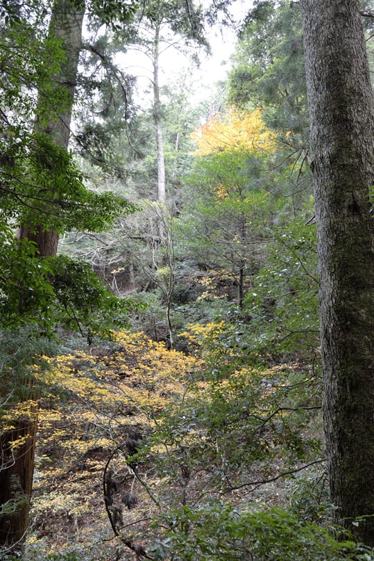 2012kuramaderakifune141