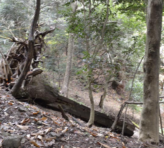 2012kuramaderakifune151