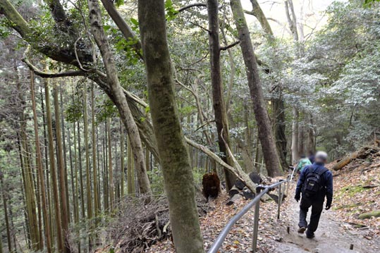 2012kuramaderakifune152