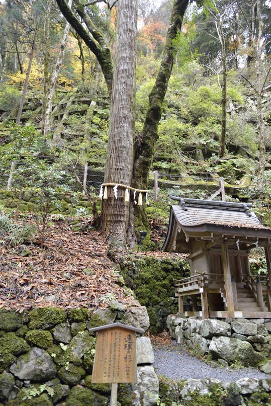 2012kuramaderakifune195