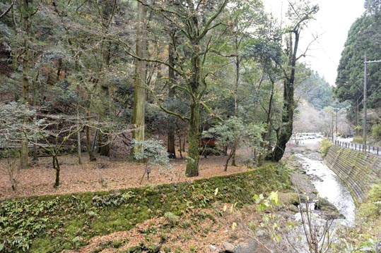 2012kuramaderakifune223