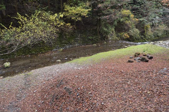 2012kuramaderakifune226